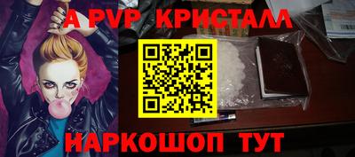 СК Бийск