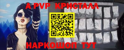 СК Бийск